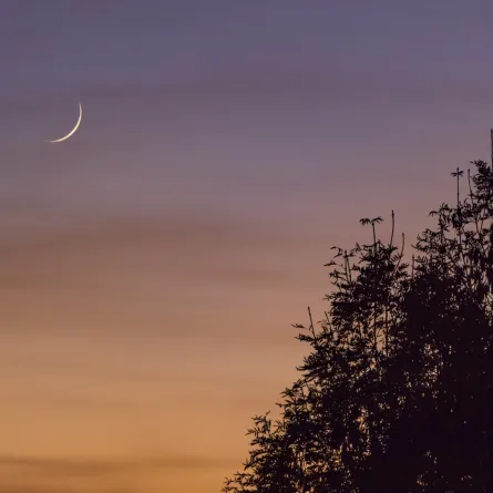 رؤيا هلال الشهر الكريم في المنام - مصدر الصورة: Freepik by wirestock