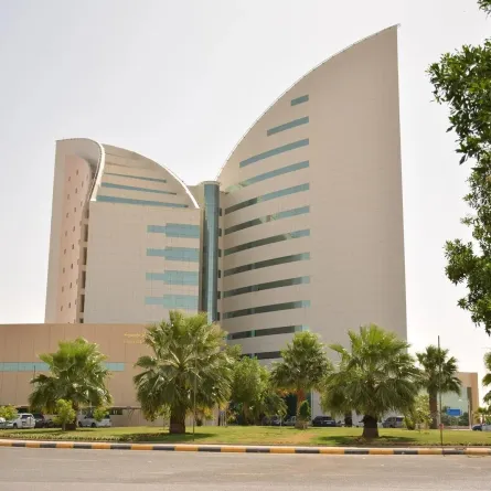 جامعة نجران