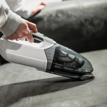 العناية بالكنب