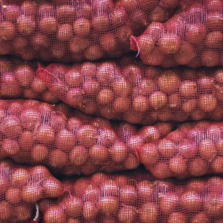 أكياس البصل الشبكية