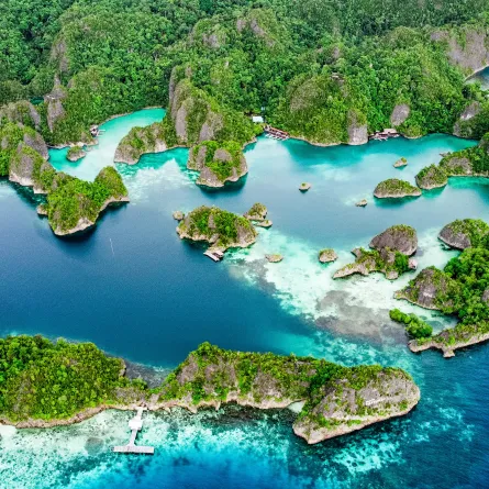 رجا أمبات مثالية للغوص والغطس