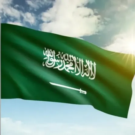 علم المملكة العربية السعودية