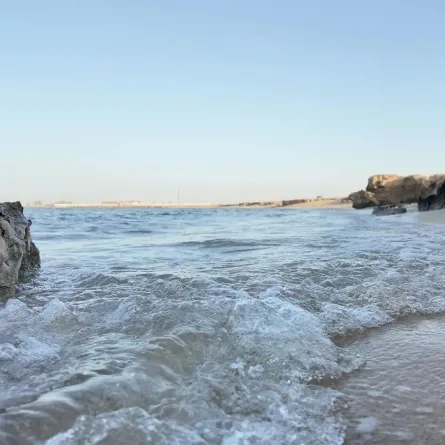 شاطئ الشعيبة