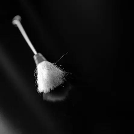 منفضة الغبار