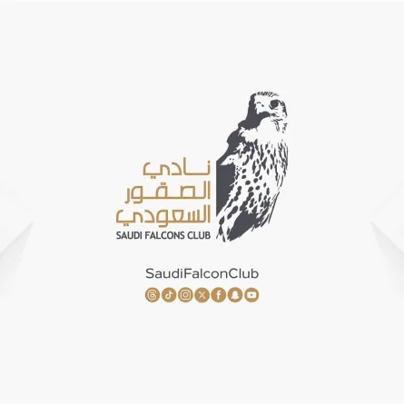 نادي الصقور