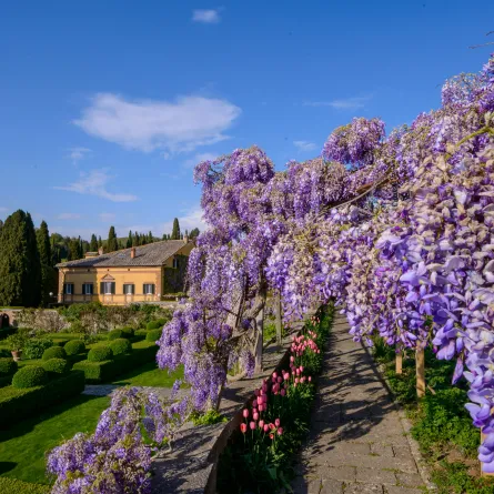 متعة السياحة في إيطاليا خلال الربيع