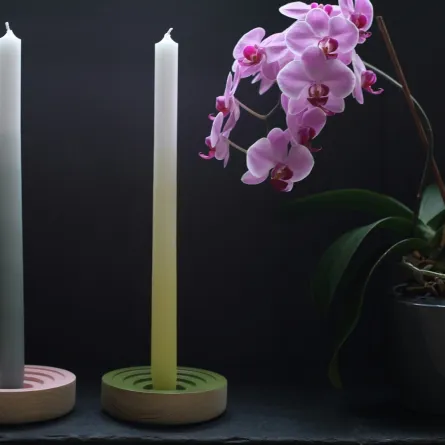 نبات الأوركيد مع زوجين من حوامل الشموع