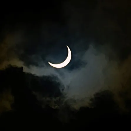 - الصورة من موقع unsplash