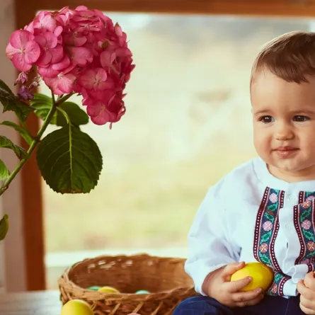 صورة طفل صغير