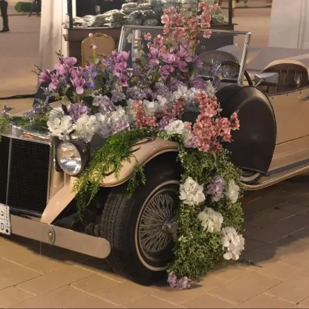 انطلاق فعاليات مهرجان عالم النباتات والزهور الأول في القطيف لتعزيز الثقافة الزراعية