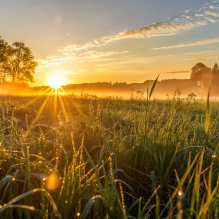 تفسير حُلم شروق الشمس في المنام