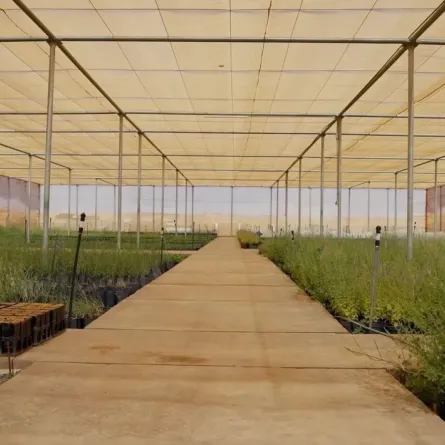 مشتل النباتات وبنك البذور