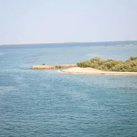 جزيرة فرسان