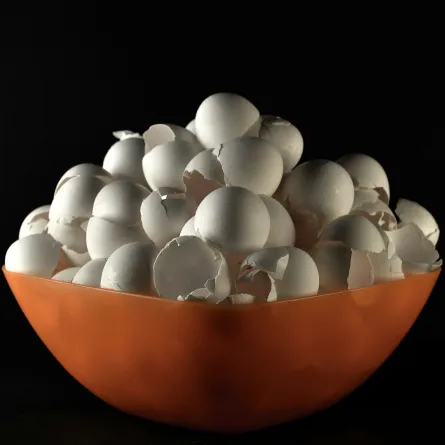 لا ترمي قشور البيض.. استخدميها في مطبخك وحديقتك لنتيجة مضمونة