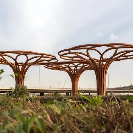 عمل "شجرة العائلة" للفنان سوبوده غوبتا في مركز الملك عبدالله المالي