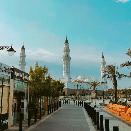 المدينة المنورة.