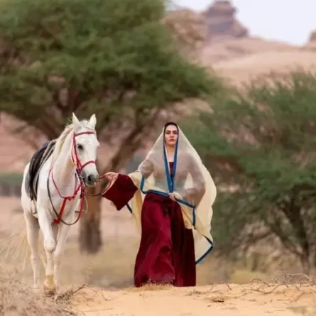 محافظة العُلا 