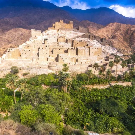 قرية ذي عين التراثية