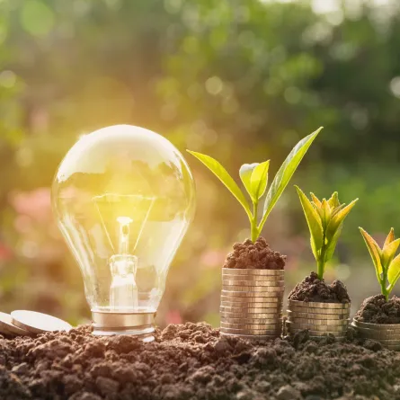 النموّ من خلال الابتكار الأخضر