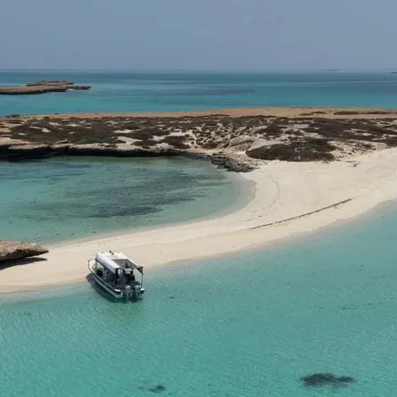 جزيرة أبو شوراية
