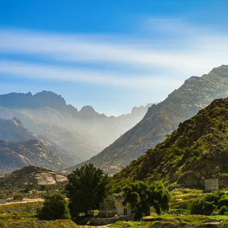 الطائف وجهة شهيرة بطبيعتها الخلابة