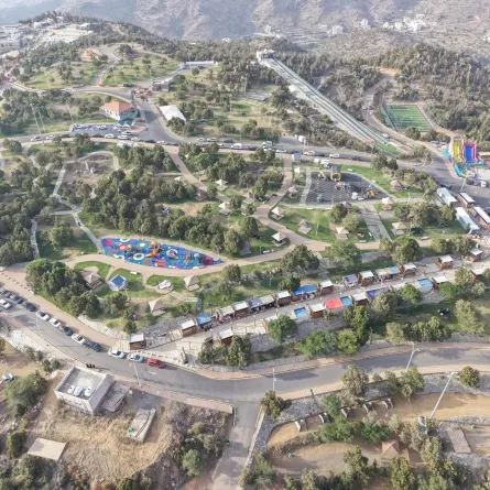 الباحة