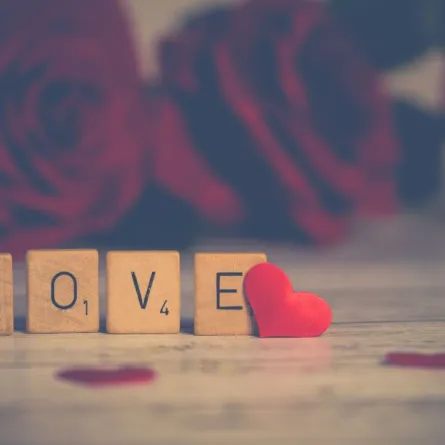 اقتباسات قصيرة وعميقة ستغير نظرتك للحب - مصدر الصورة: pexels