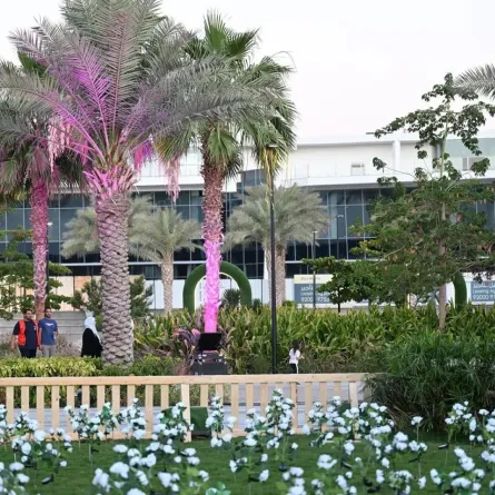 مدينة جدة