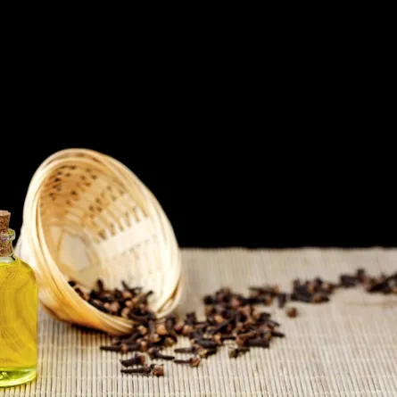 زيت القرنفل لتعطير المنزل وطرد الحشرات وإزالة العفن السطحي