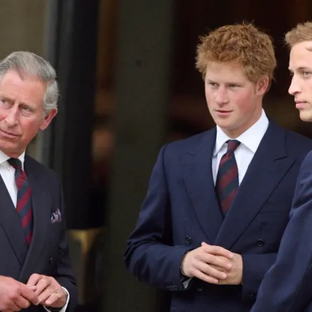الأمير تشارلز والأمير هاري والأمير ويليام في لندن عام 2007 (Britain's Prince Charles, Prince Harry and Prince William in London 2007)- مصدر الصورة: LEWIS WHYLD / POOL / AFP