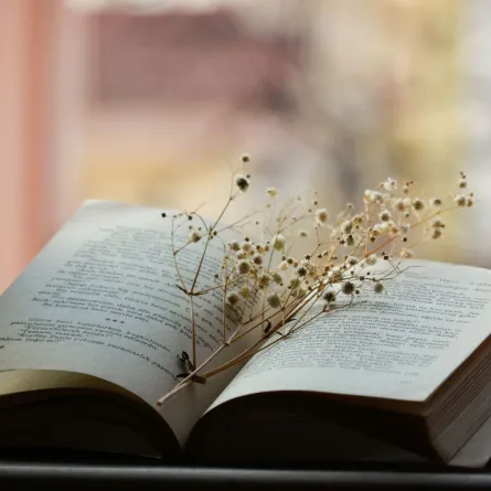 كتاب مفتوح  به بعض الزهور الصغيرة 