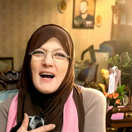 شمس البارودي