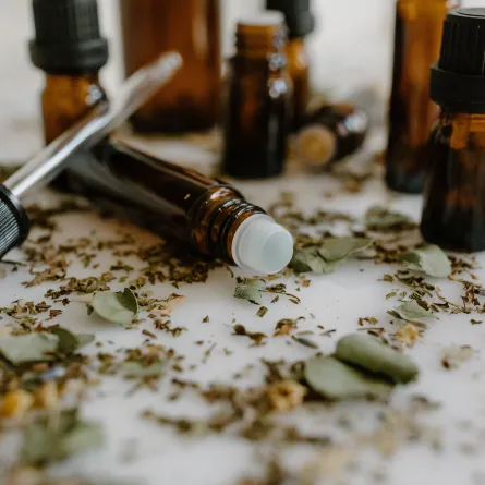 طرق طبيعية سهلة وفعالة في التخلص من حشرة أم أربعة وأربعين