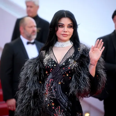 هيفاء وهبي على سجادة مهرجان كان السينمائي 2026 ( مصدر الصورة:  Kristy Sparow/Getty Images)