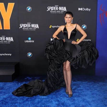 زيندايا Zendaya - (مصدر الصورة Brianna Bryson/WireImage)