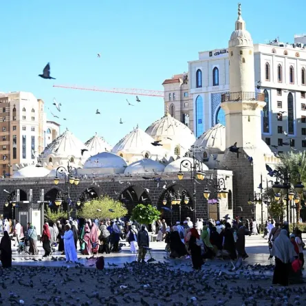 المدينة المنورة