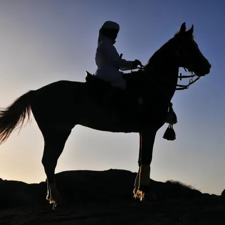 عدسات المبدعين توثق مشاهد خلابة لنجران في يوم التصوير العالمي (مصدر الصورة: واس)