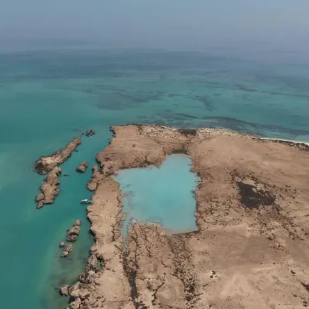 جزر فرسان
