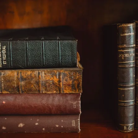 مجموعة من الكتب في مكتبة