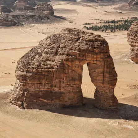 العلا