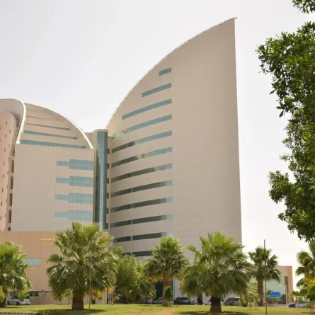 جامعة نجران