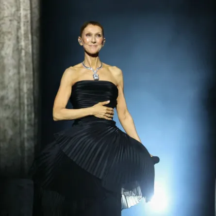 حفل سيلين ديون Celine Dion في باريس. مصدر الصورة:  THOMAS SAMSON / AFP