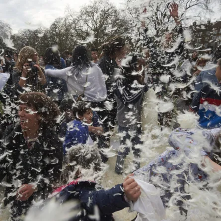 اليوم العالمي لـ"صراع الوسائد"