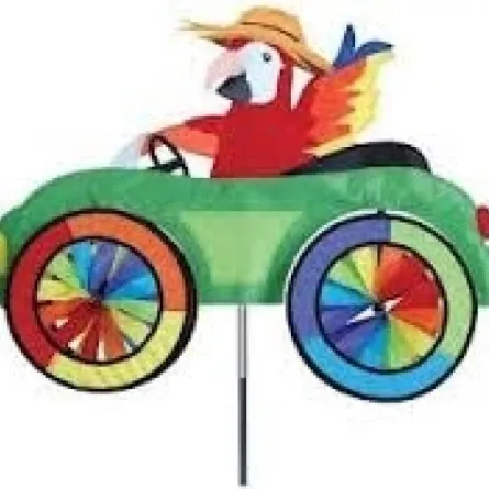 ببغاء يشرف على قيادة سيارة