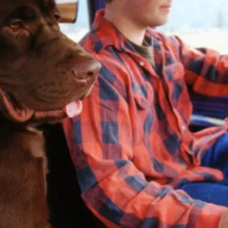 كلب" يُطلق النار على صاحبه!