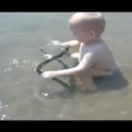 طفل روسي يلعب مع أخطر الأفاعي