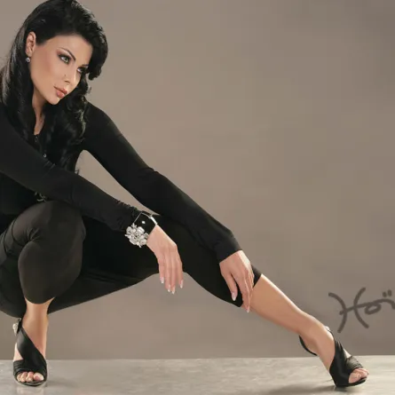 بالصور: أحذية هيفاء وهبي تجتاح حسابها على انستغرام!