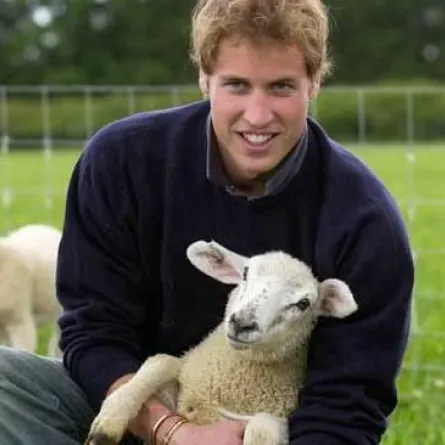 الأمير William من الحكم إلى الزراعة