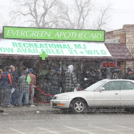 لأول مرة في العالم بيع الحشيش بتراخيص رسمية في أمريكا