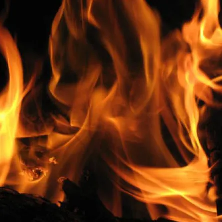 أب ينجو بنفسه من الحريق ويترك 5 أطفال